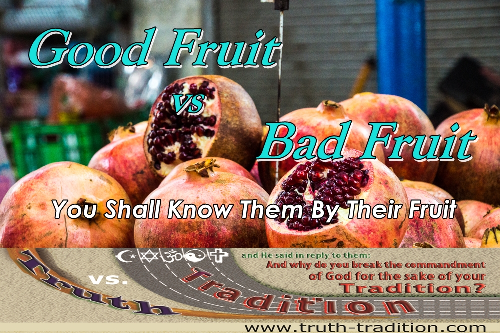 Good Fruit vs Bad Fruit