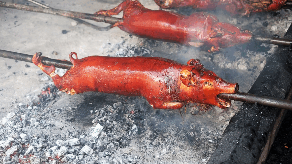 Whole roasted pigs on a spit over coals, a common feast food that raises questions about Christian dietary restrictions.